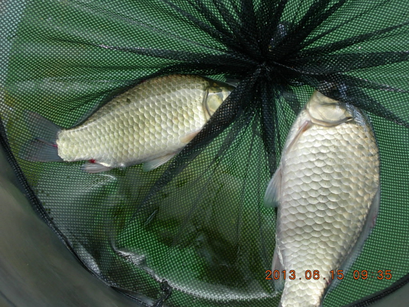 1345682096_58264b10_1372003822.jpg