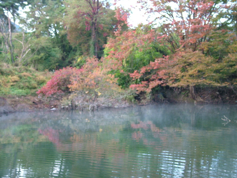 1345682126_1750fe6d_1351102624.jpg