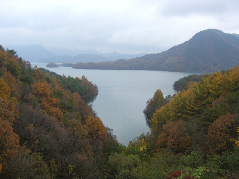 1345682126_3c02f664_1352918432.jpg