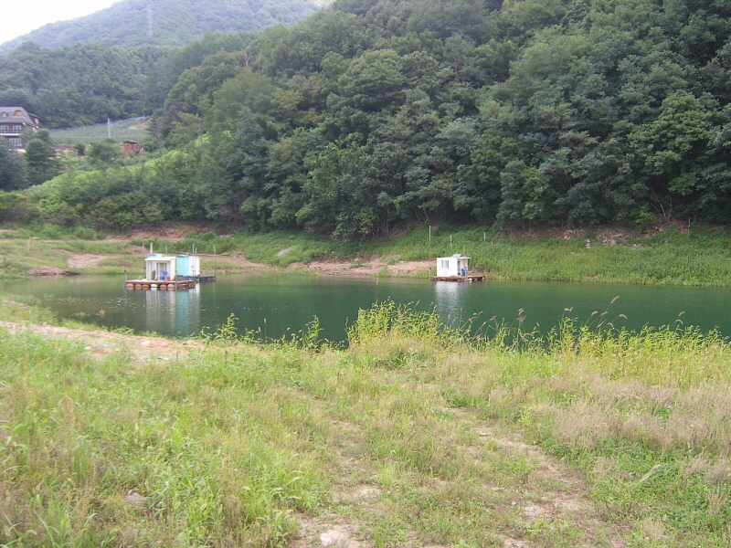 1345682126_42fe885f_1344284902.jpg
