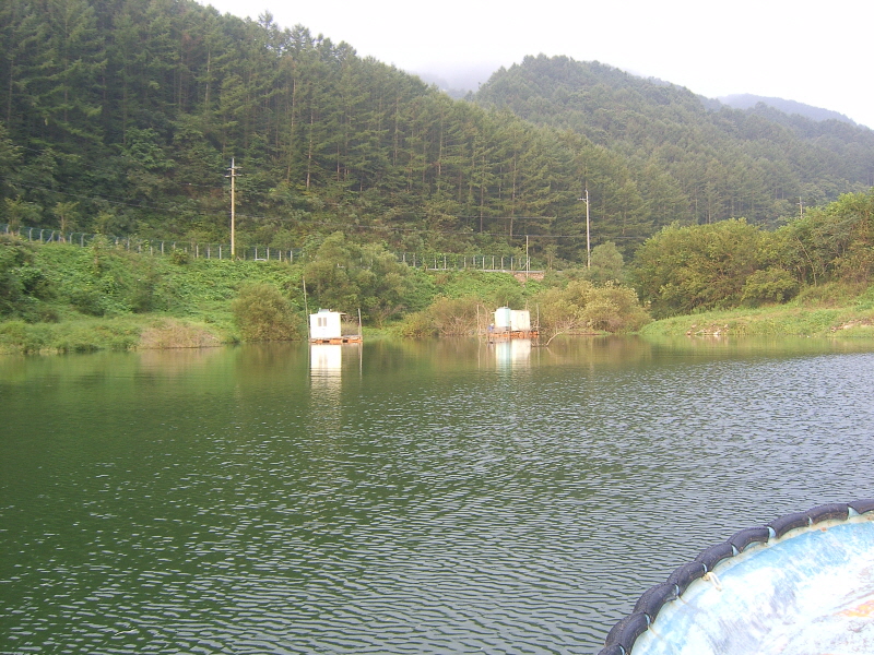 1345682126_602d08ae_1347469216.jpg