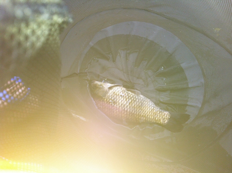 1345682126_a13151cc_1342973819.jpg