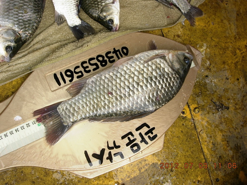 1345682126_fecfa855_1342052515.jpg