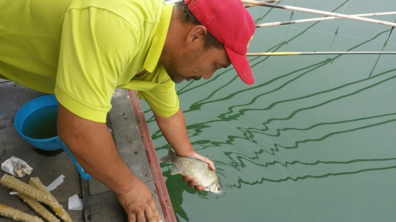 991902813_6c46ff62_1407252925.jpg