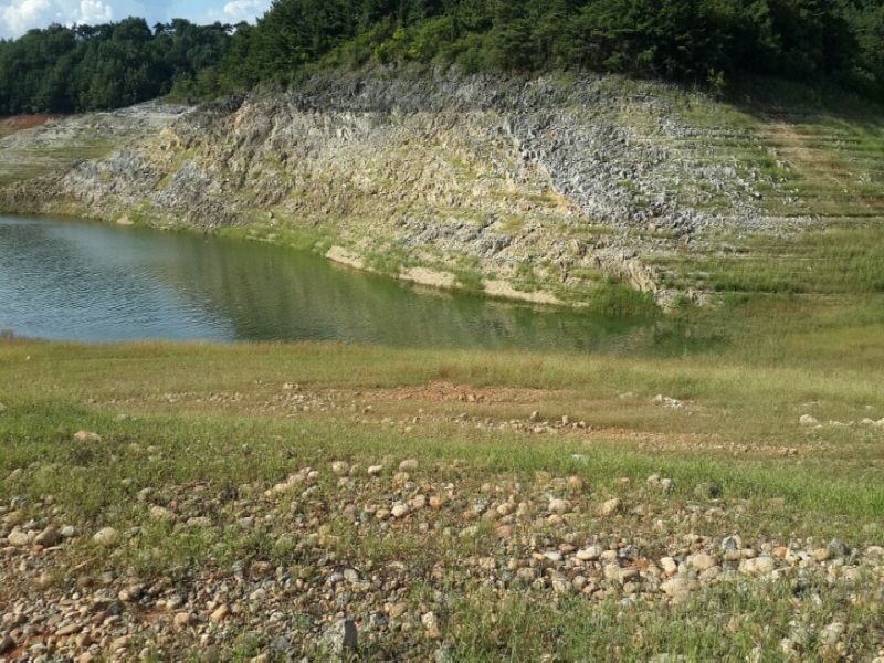 991902813_7df6e53a_1408900514.jpg