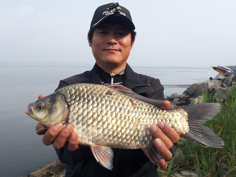 AB방조제낚시 > 천수만[부남호] 6월21일 44.5cm와 대물 조황 : 낚시사랑