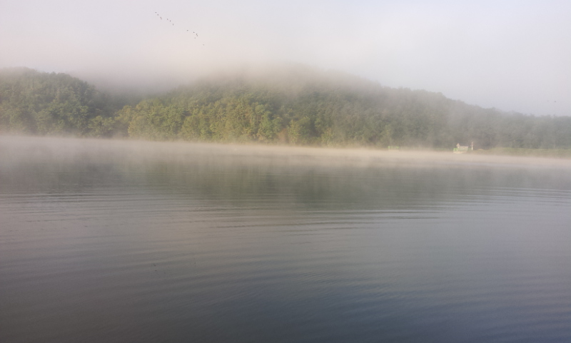 1218176536_5e7bdbac_1381773556.jpg