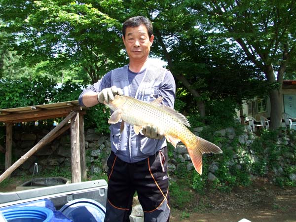 2009199860_43f28dcb_1370555377.jpg