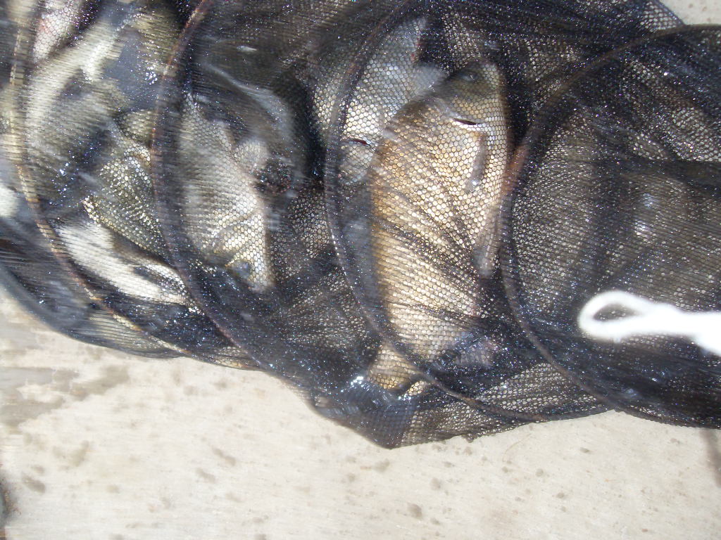 991494285_f2671ff7_1379628477.jpg