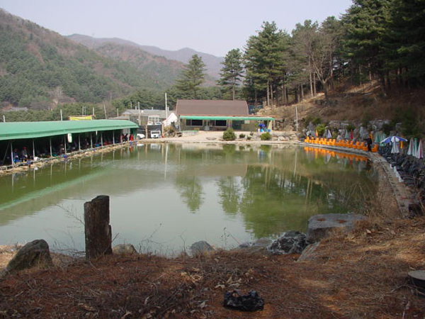 소학식당 이미지